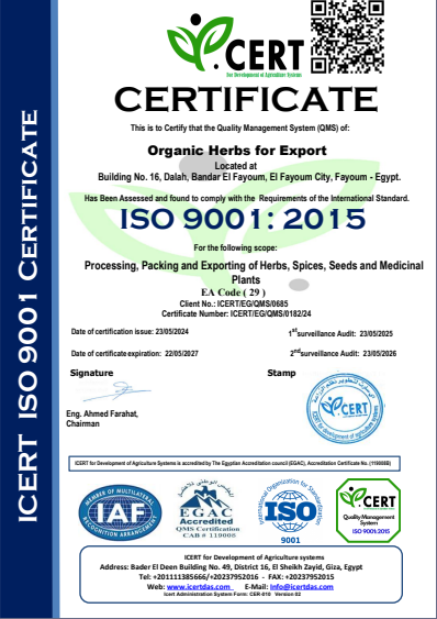 cert2